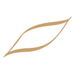 olio novello prima spremitura