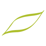 Foglia3 Olio Novello