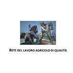 4-Frantoio-Principe-Paviro-Torremaggiore-Certificazione-Rete-Lavoro-Agricolo-Qualita 4 frantoio principe paviro torremaggiore certificazione rete lavoro agricolo qualita