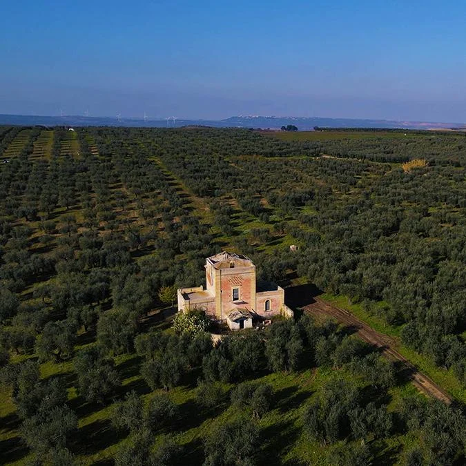 cammarato azienda agricola fratelli dettorres