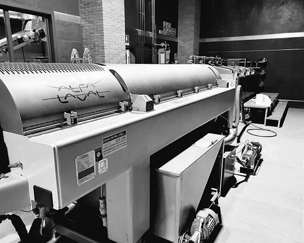 Alfa Laval Frantoio Principe Paviro Pulizia delle olive