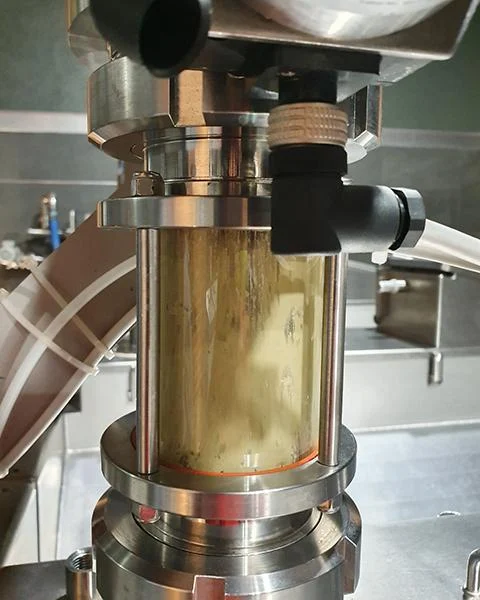 Altra Lavorazione Frantoio Principe Paviro Parte della lavorazione delle olive